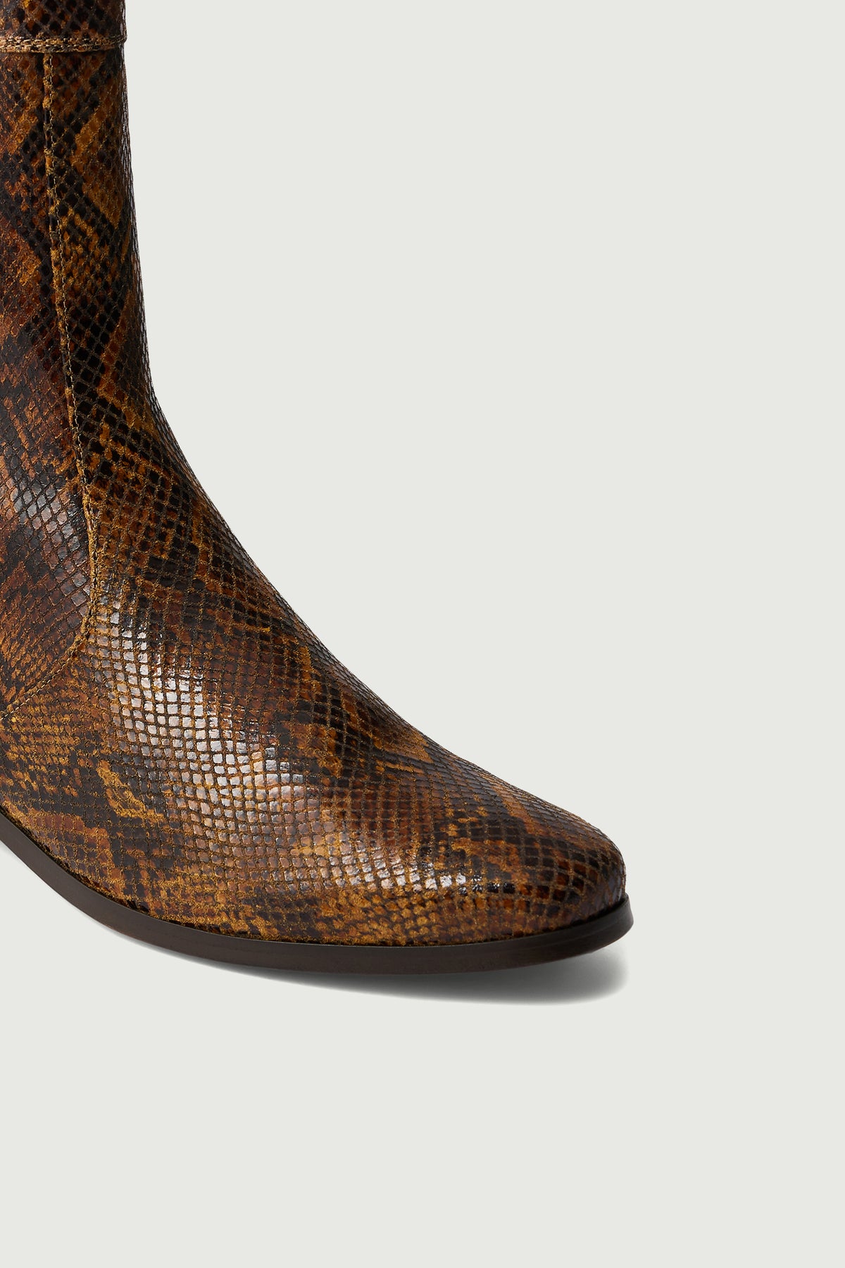 Botines Écaille - Pitón - Cuero - Mujer