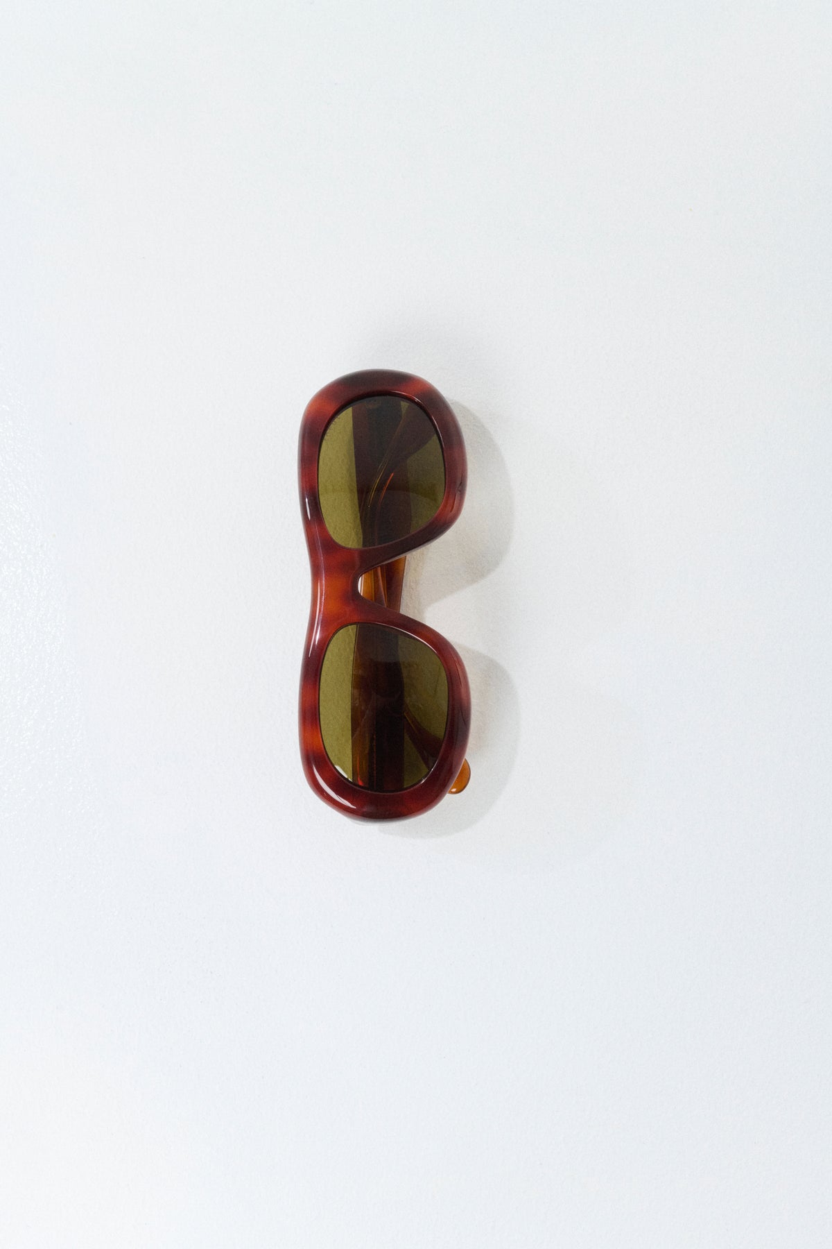 Lunettes de soleil Lee - Écaille - Femme vue 5